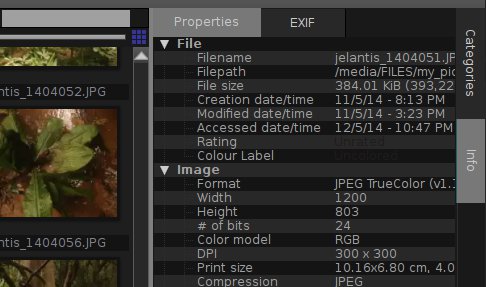 layout with info pane to right side, no preview