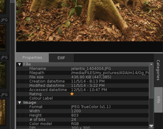 layout with preview above info pane