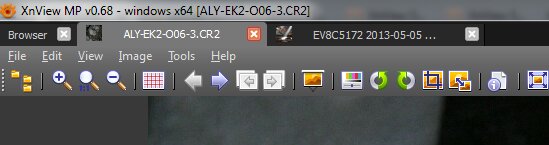 XnView-Tabs.jpg