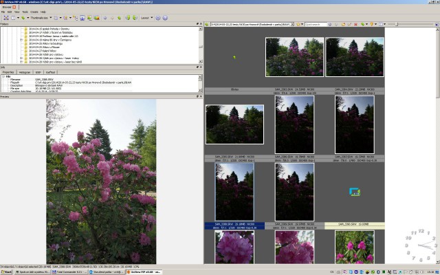 Thumbnails and preview of selected one