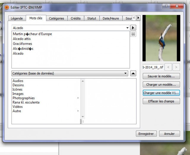 iptc sous xnviewmp.jpg