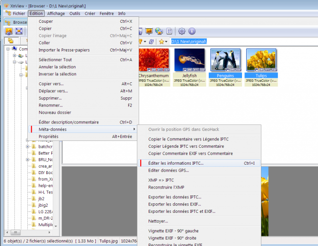 Image_1.png