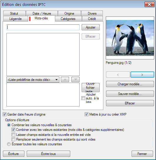 Image_2.png