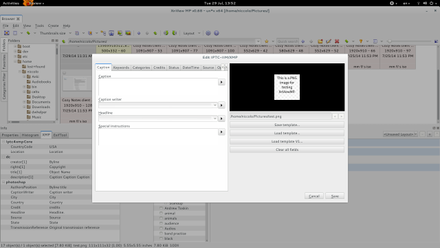 Caption and Byline and such show up under the XMP tab of the &quot;Info&quot; pane in the bottom-left of XnView, but the corresponding fields are blank when you reopen the IPTC/XMP Editor dialog.