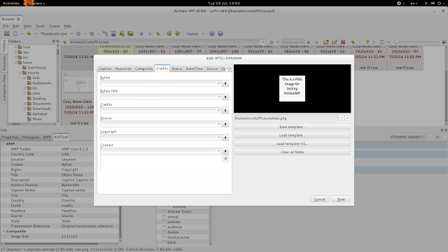 In the &quot;Info&quot; pane, under the Exiftool tab, under the XMP heading, you can see Byline and Rights/Copyright information filled out, but the fields are all blank in the XnView IPTC/XMP Editor.