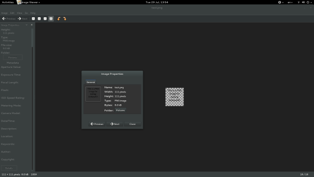 GNOME Image Viewer does not detect or display any metadata either in the side panel or the Image Properties window. Normally the most important metadata (creator name, copyright statement, keywords...) appears in the side pane, and pretty much *all* metadata can normally be seen in the Image Properties window. There is none here.