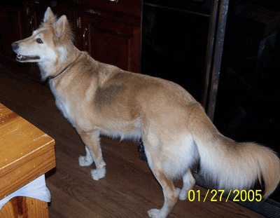 p121601.gif
