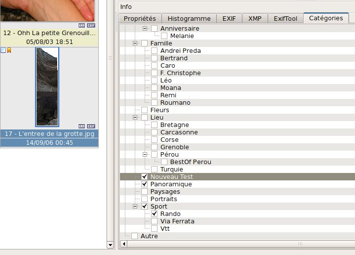 Step 1) On the explorer view, select one (or more photo) which is contain the caractere    '   <br /> Add a categories