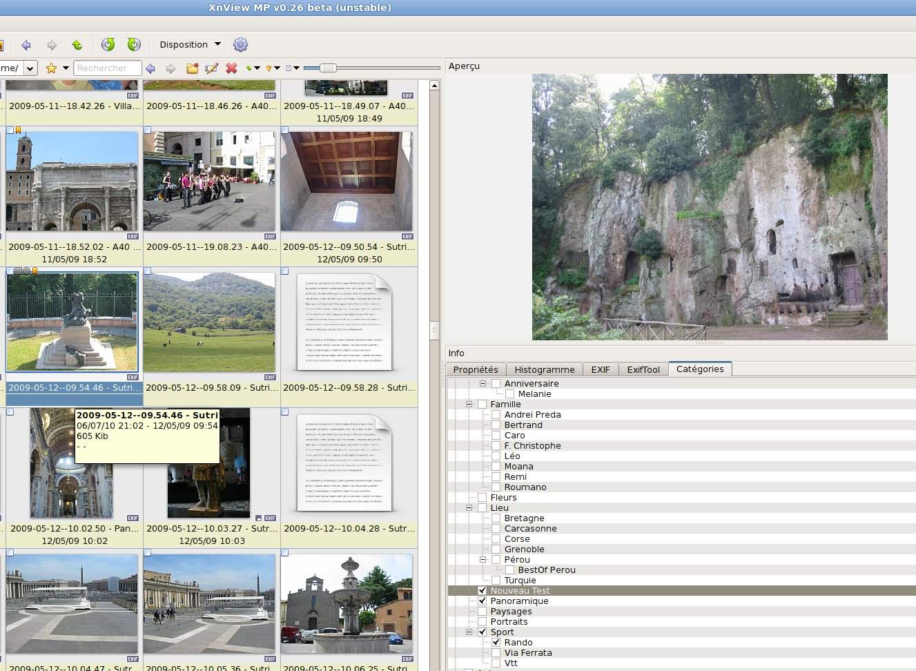 Step 3) Go on the explorer view and found the 'random' photo<br /> The thumbail and categories of the file is appartening of the image which is contain the caractere   '
