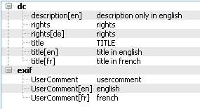 display_xnviewmp.jpg