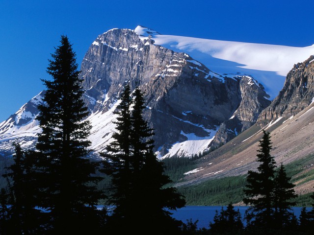 source image