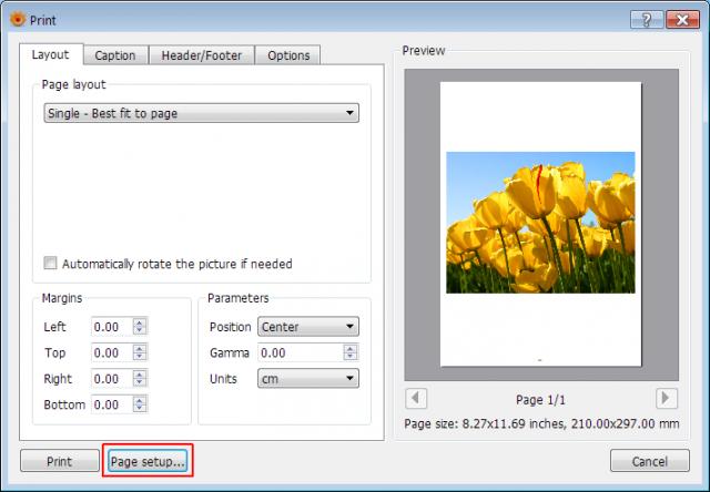 Print_Page_setup_1.png