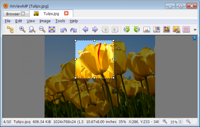 XnViewMP_Selection.png