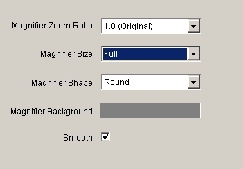 MaxView - zoom ('magnifier') settings.jpg