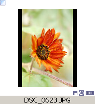 p127323.png