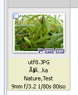 The second line shows the caption of the image