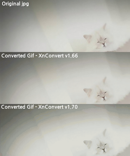 xngifquality.png
