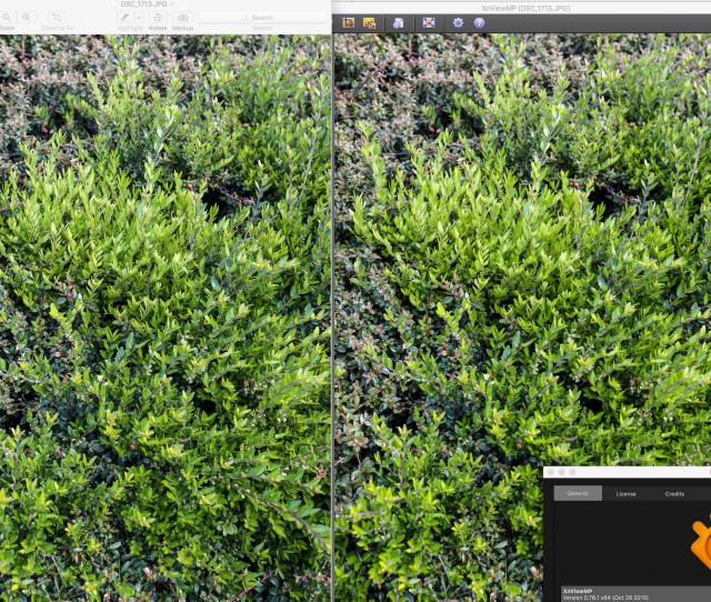 preview vs xnview076.jpg