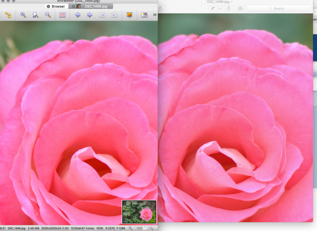 Comparison XnViewMP 0.76.1 x64 vs. Apple Preview at 100% zoom