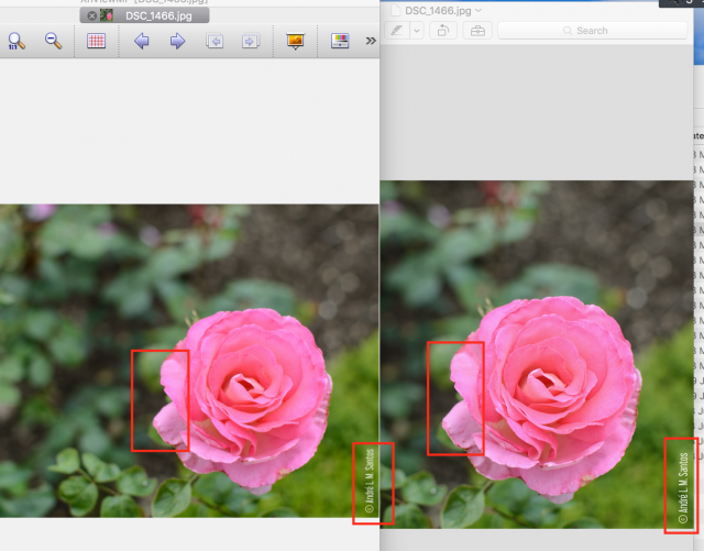 Comparison XnViewMP &amp; Apple Preview