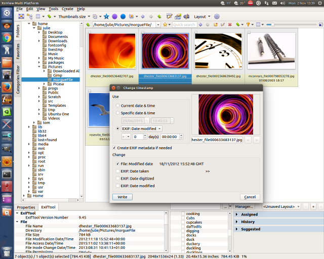 XNViewMP Screenshot.png