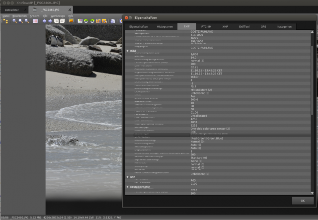 Screenshot of properties window