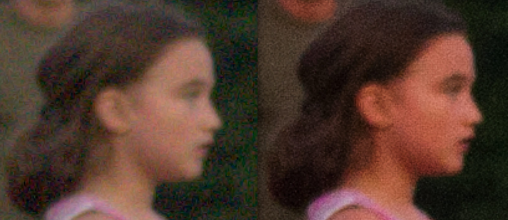 canon-raw-mp035-vs-pse9_cropped.png
