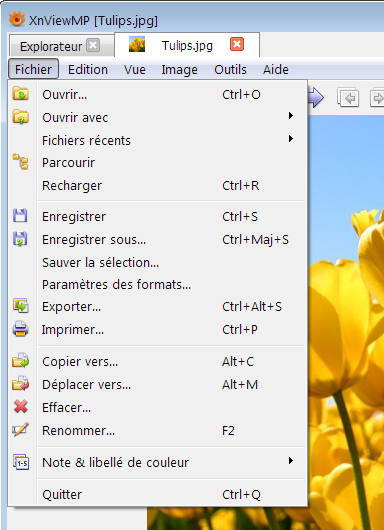 Image_1.png