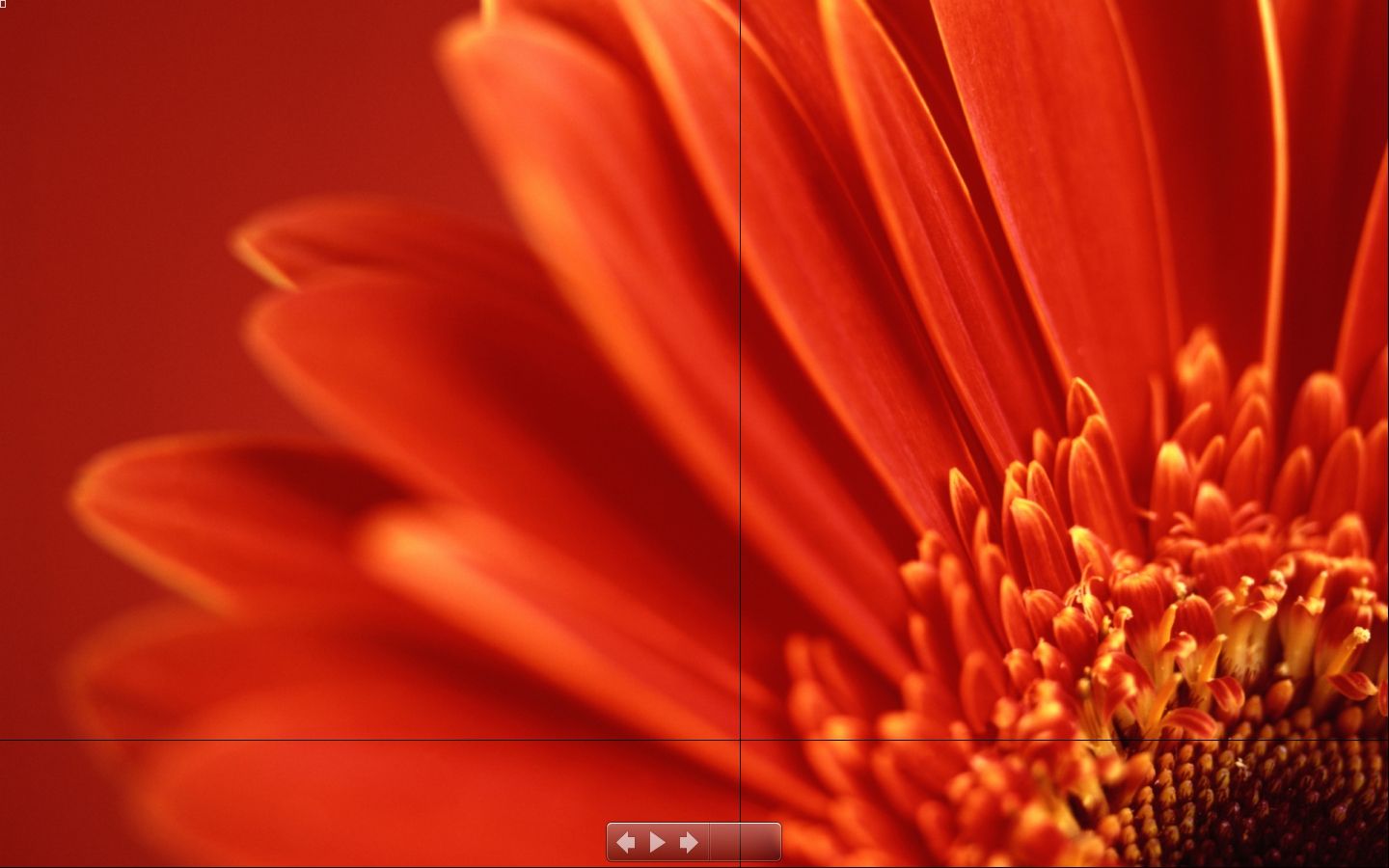 img30_XnView.jpg