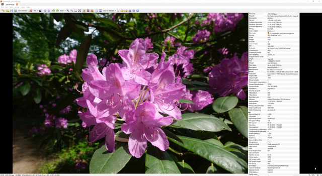 SnagIt-31052016 160502.png