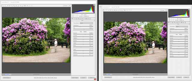 SnagIt-04062016 062330.png