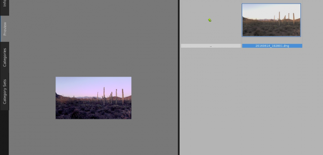 MismatchedThumbs.jpg: Mismatched thumbnails left/right sides when clicked in XnVewMP Preview