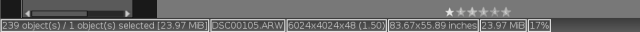 BottomStatusBar.png