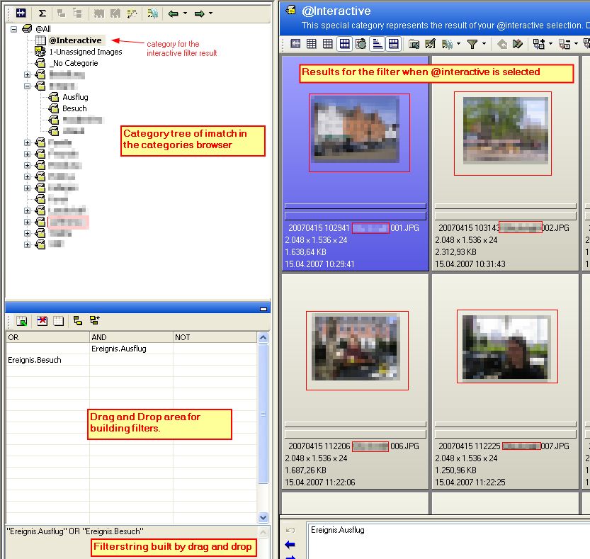 Categories Browser of IMatch