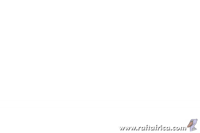 Watermark.png