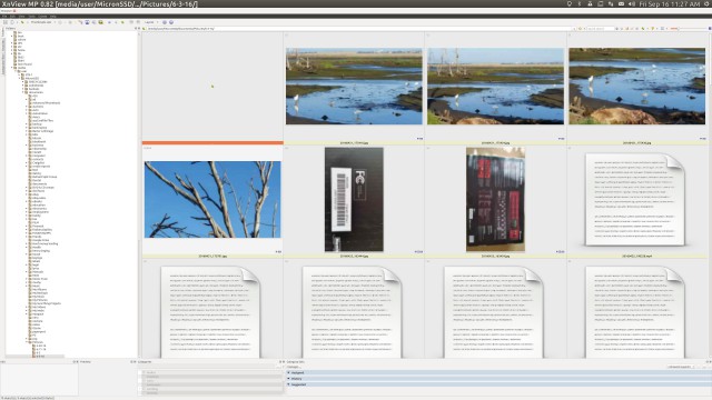 xnview Screenshot from 2016-09-16 11-27-42.jpg
