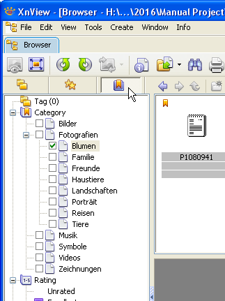 Using_Categories.png