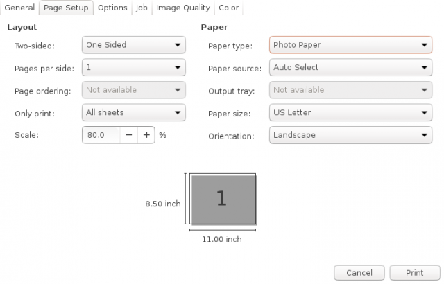 firefox &quot;page setup&quot; dialog.  Note option for paper type.