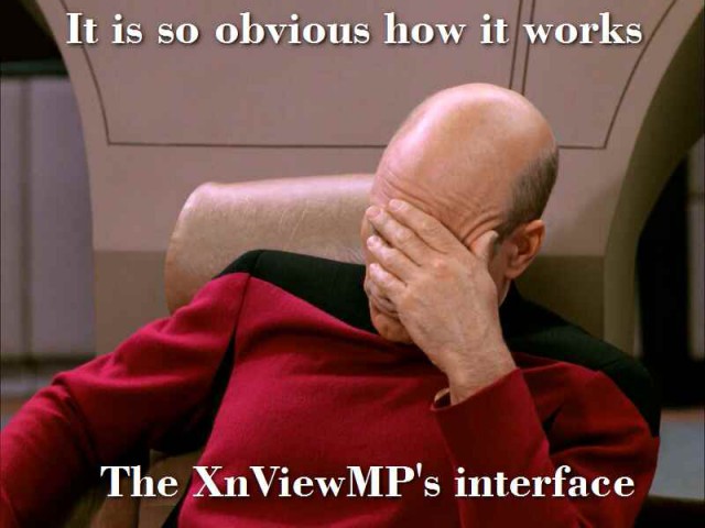 XnView GUI Picard Facepalm.jpg