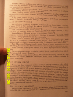 p138356.gif