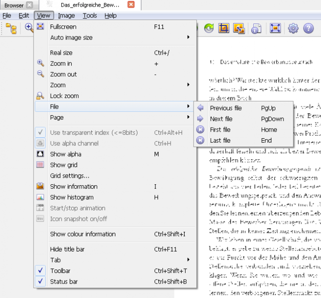 View-File.png