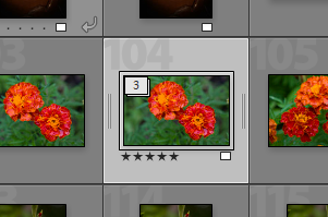 Xn Lr Stack folded.png