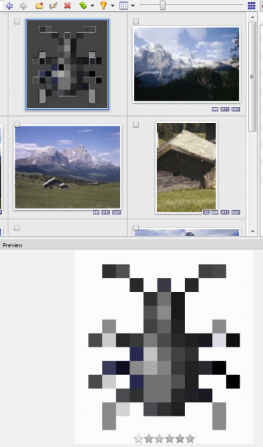 screenshot showing thumbnail (top) and preview tabs in xnviewMP.
