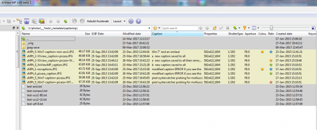 list of images after sorting by caption, just before exiting XnViewMP