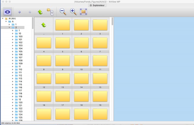 XnView0-85-Bug.jpg