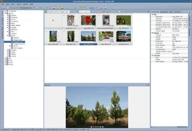xnviewmp-fonts-ok.png