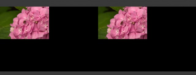 Crop-of-Raw.jpg