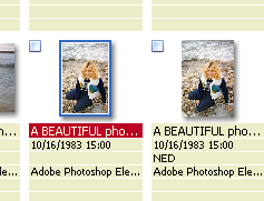 Left is full size, right is cropped (by FastStone) (see below), but thumbnails unchanged in XnView
