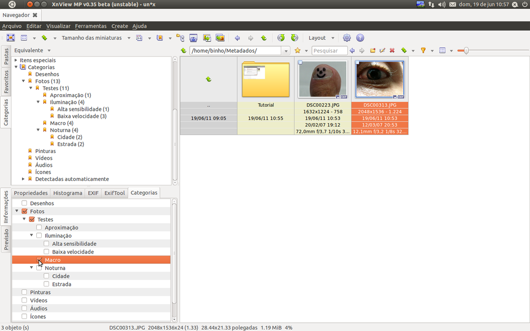 Teste-003.png