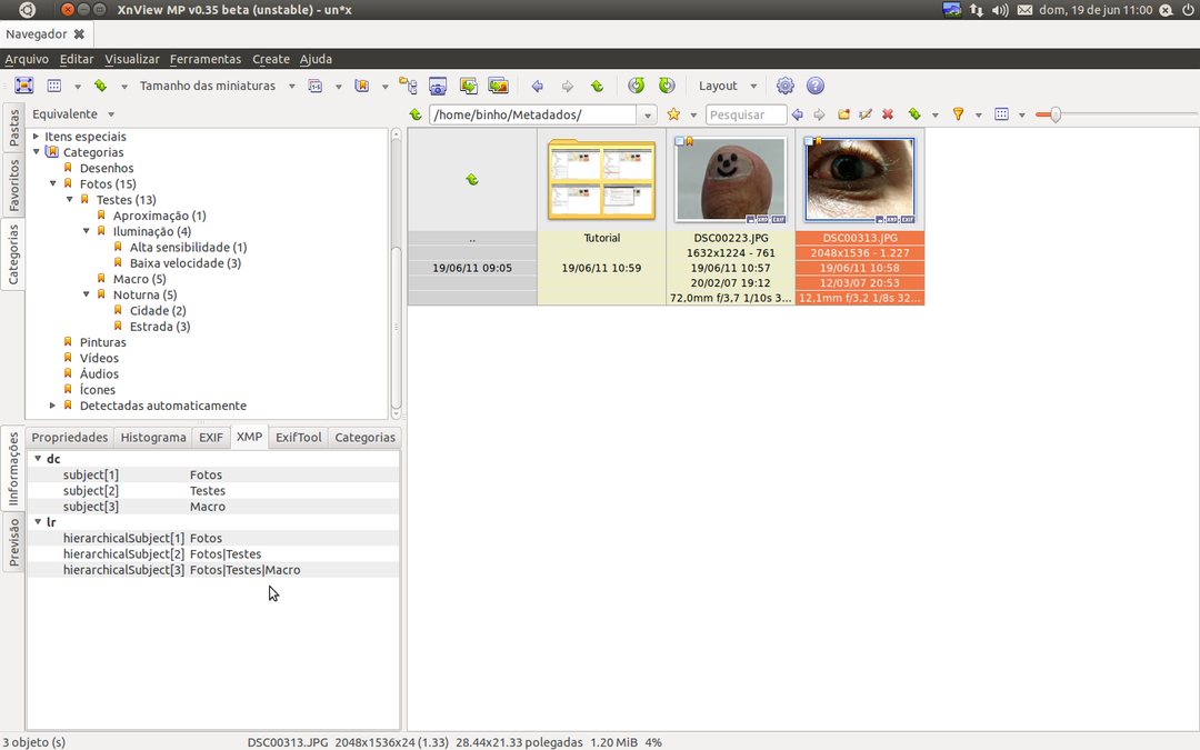 Teste-005.png
